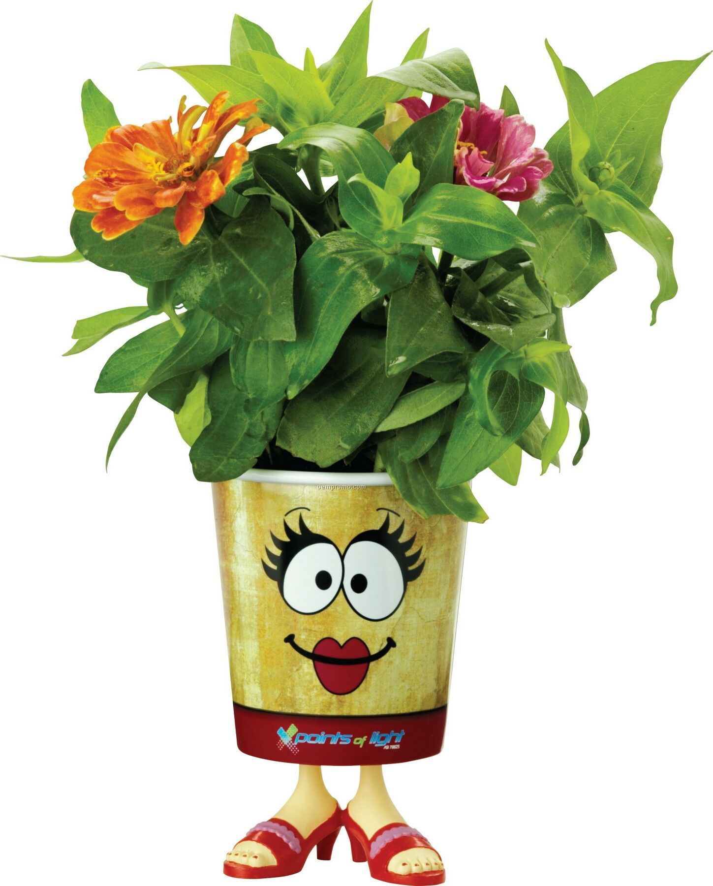 Grow Cups Eco-friendly Garden Kits - Girl