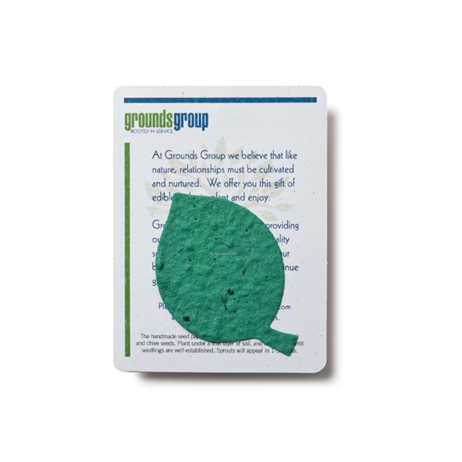 Mini Beech Leaf Shape Seed Paper Gift Pack
