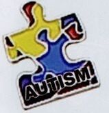 Medical Awareness Pin For Autism