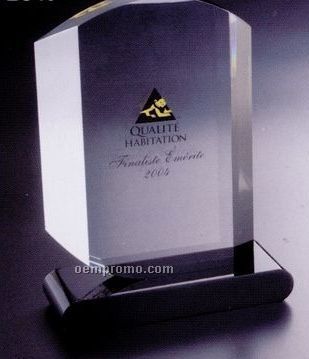 Custom Lucite Award W/ Base