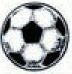 Sport Stock Temporary Tattoo - Muted Line Soccer Ball 2 (2"X2")