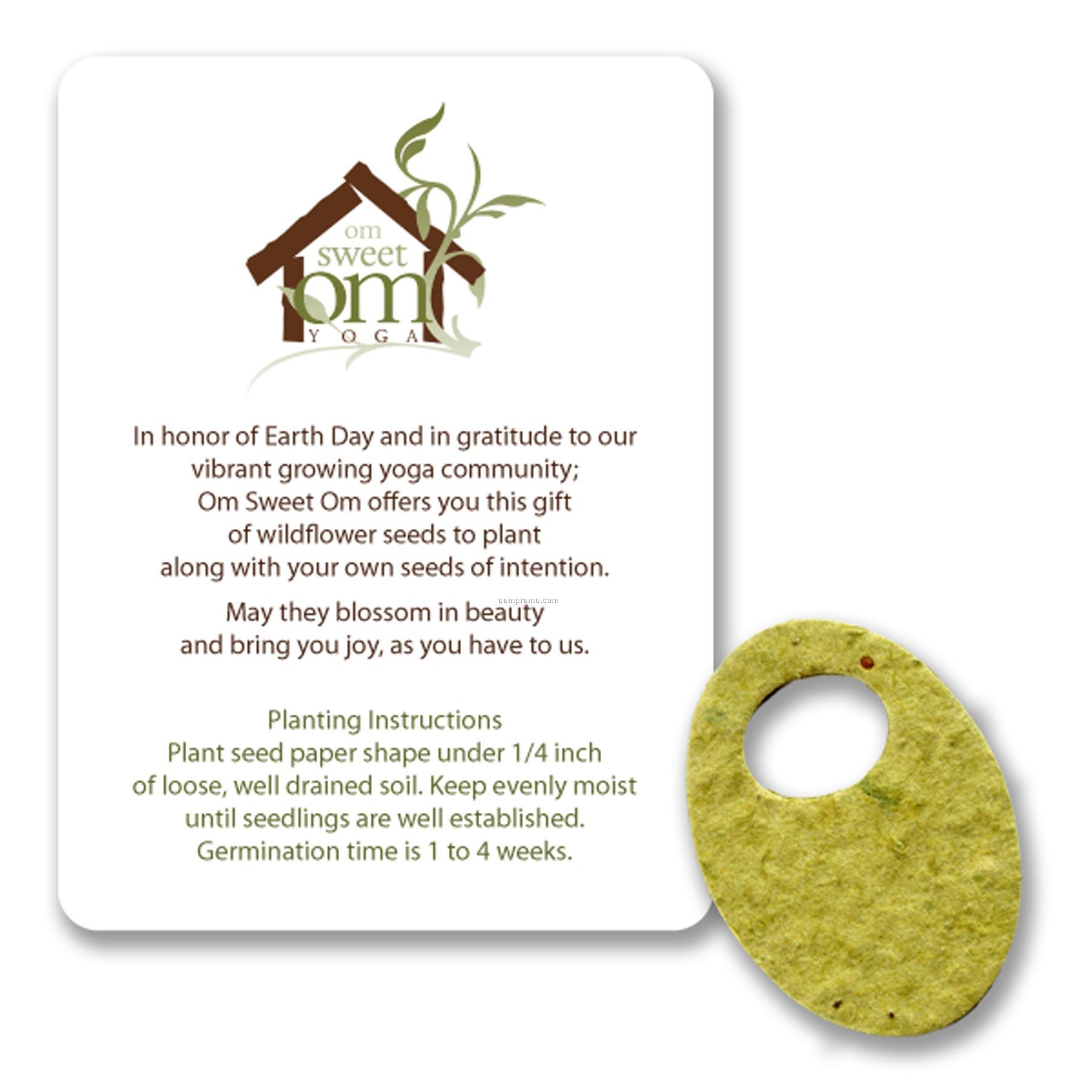 Mini Olive Shape Seed Paper Gift Pack