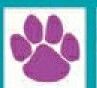 Sport/ Mascot Temporary Tattoo - Purple 4 Toed Paw Print (2