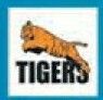 Sport/ Mascot Stock Temporary Tattoo - Jumping Tiger 1 (2"X2")