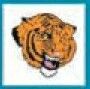 Sport / Mascot Stock Temporary Tattoo - Tiger 3 (2"X2")