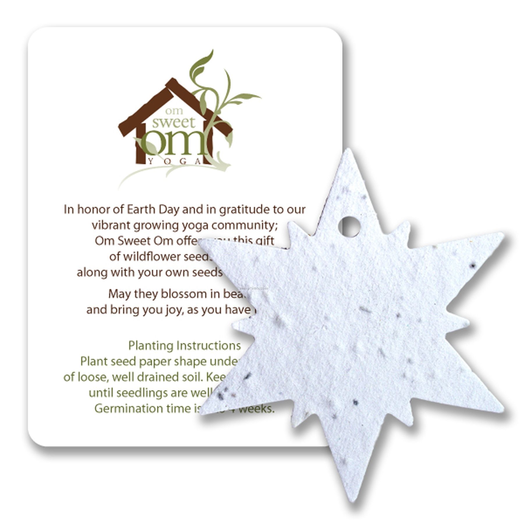 Mini Snowflake #1 Seed Paper Gift Pack