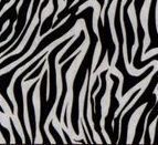 20"X30" Zebra Designer Tissue Paper