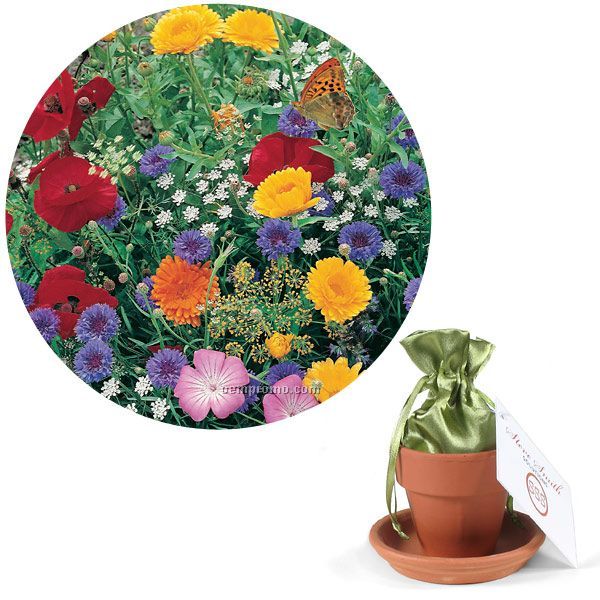 Butterfly Seed Mix In Satin Bag, Terracotta Pot & Saucer With 4 Color Tag