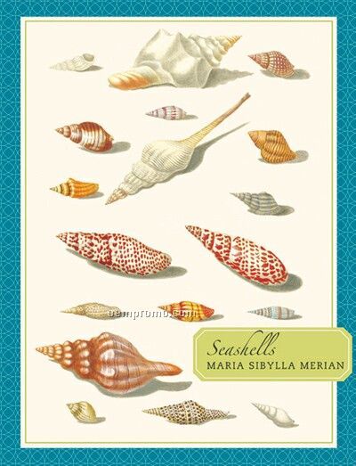 Seashells Note Card Portfolio