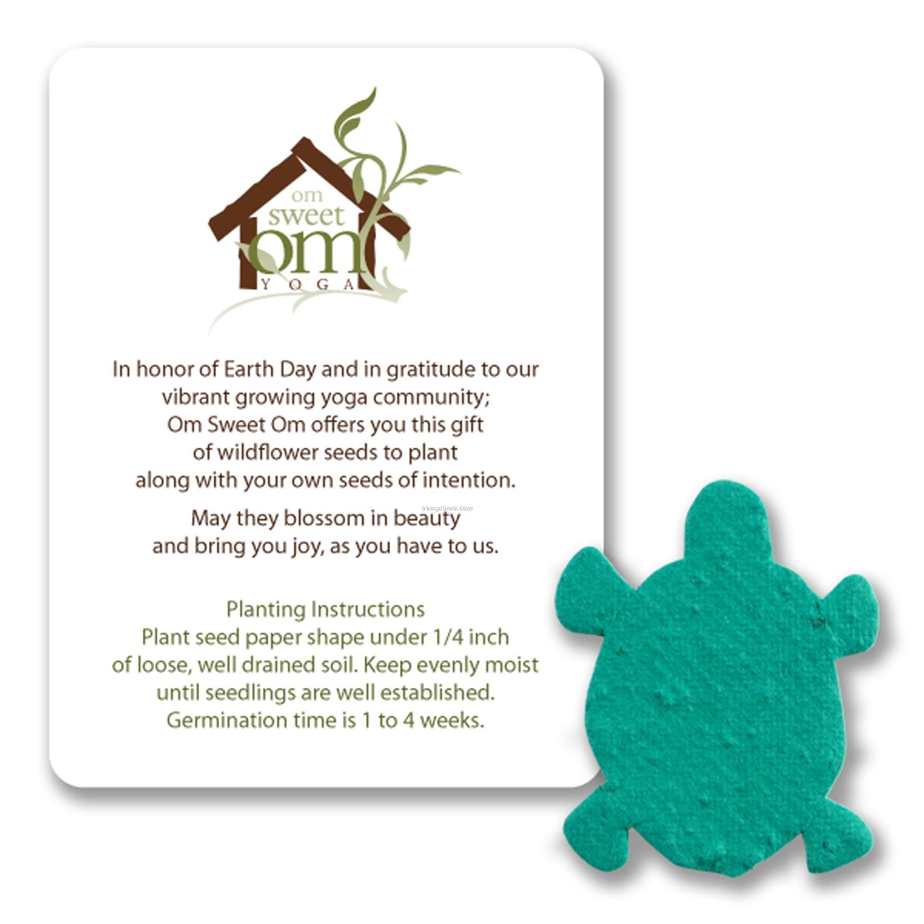 Mini Turtle Seed Paper Gift Pack