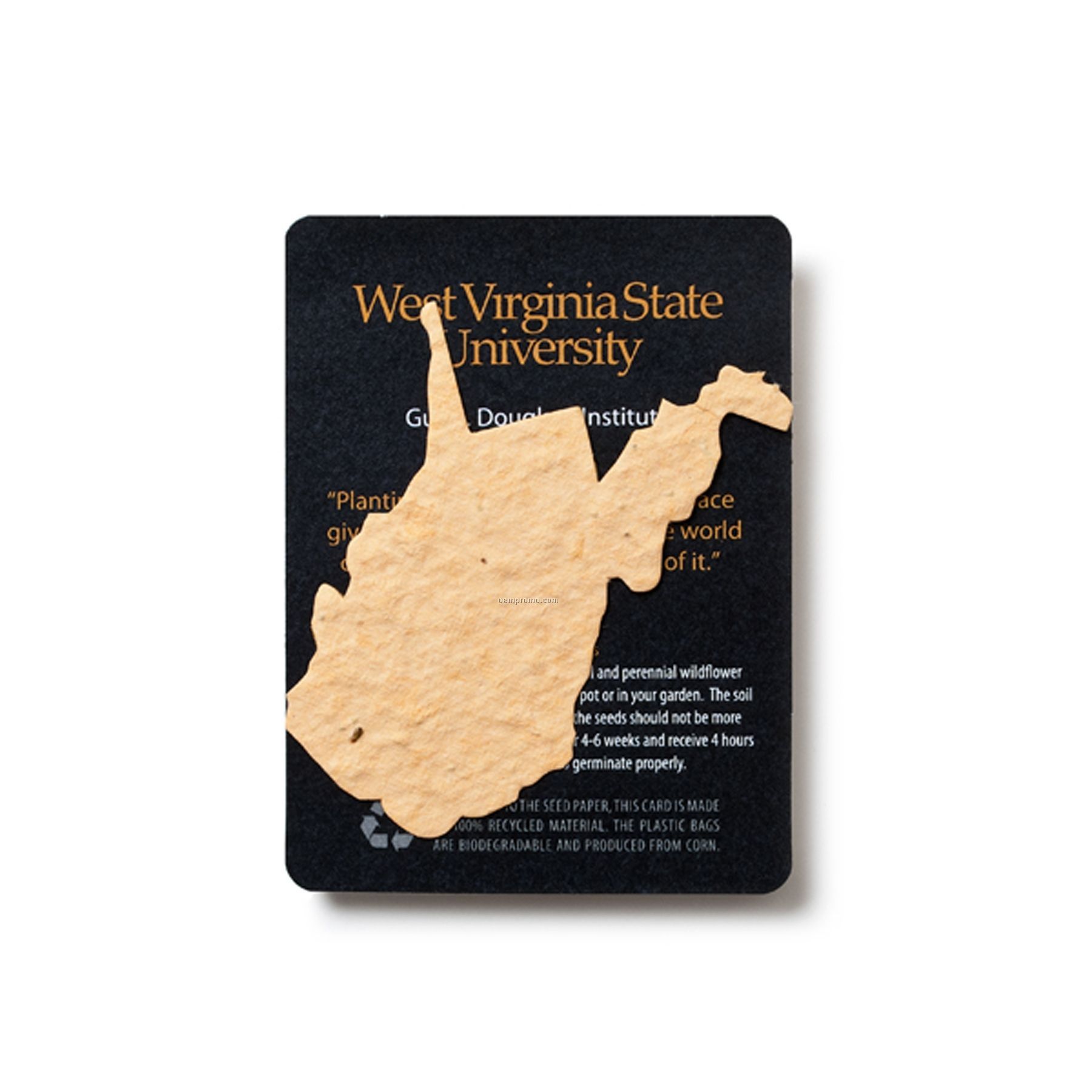 Mini West Virginia Seed Paper Gift Pack