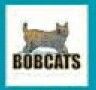 Sport/ Mascot Stock Temporary Tattoo - Bobcats (2