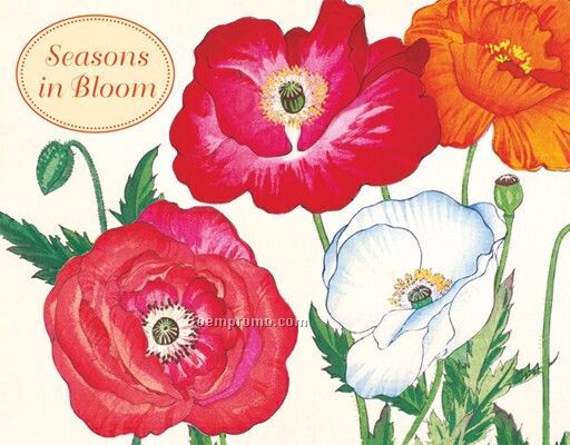 Seasons In Bloom Keepsake Box Note Cards