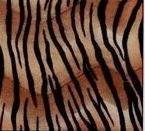 20"X30" Tiger Designer Tissue Paper