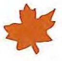 Mylar Confetti Shapes Maple Leaf (5")