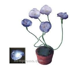 Solar Blue Daisies With 5 Flashing
