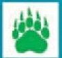 Sport/ Mascot Temporary Tattoo - Green 5 Toed Paw Print (2"X2")