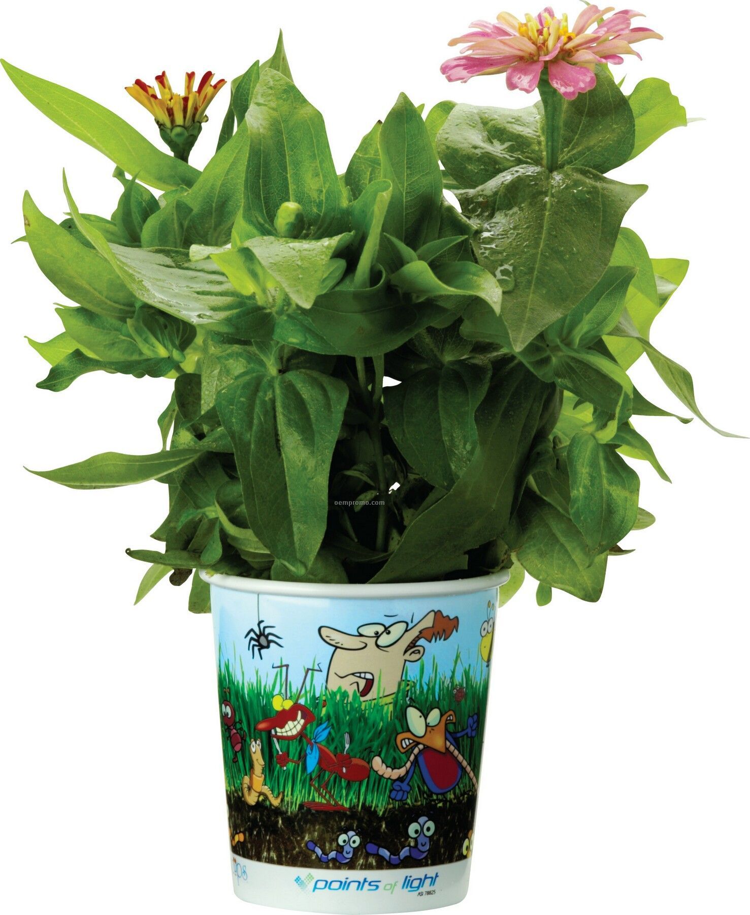 Grow Cups Eco-friendly Garden Kits - Bugs