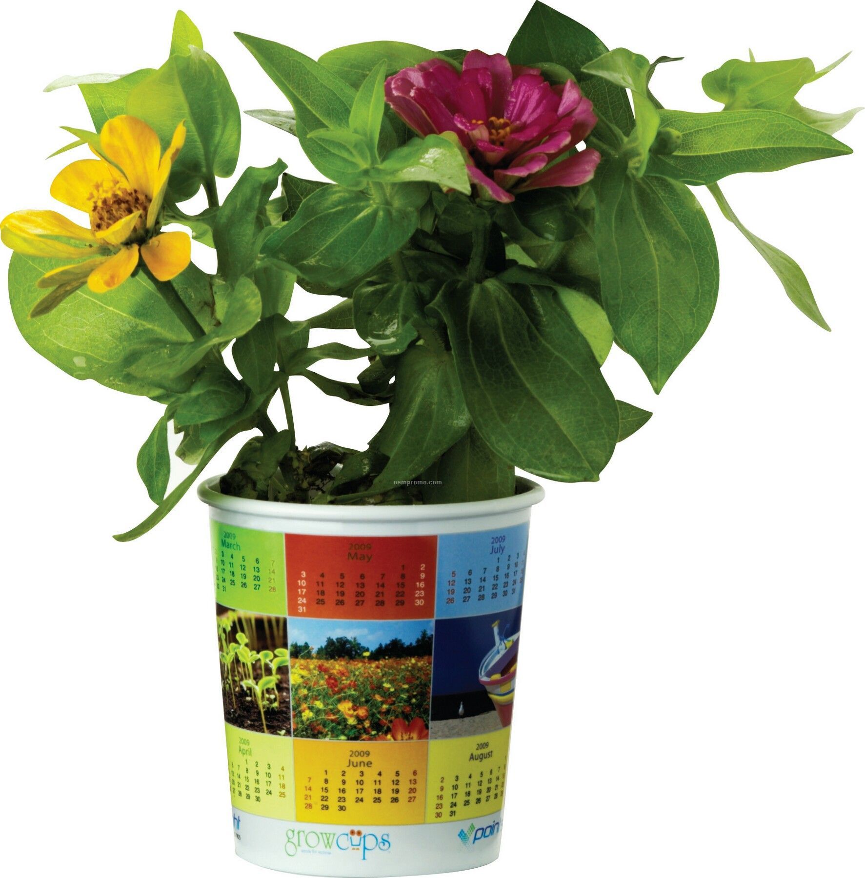 Grow Cups Eco-friendly Garden Kits - Calendar