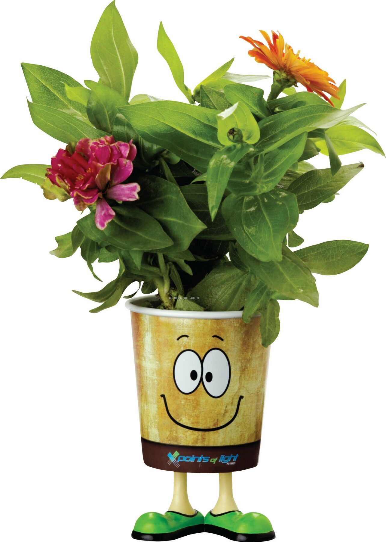 Grow Cups Eco-friendly Garden Kits - Guy