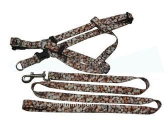 Pet Collars And Leashes