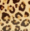 Leopard Pot Holder & Oven Mitt