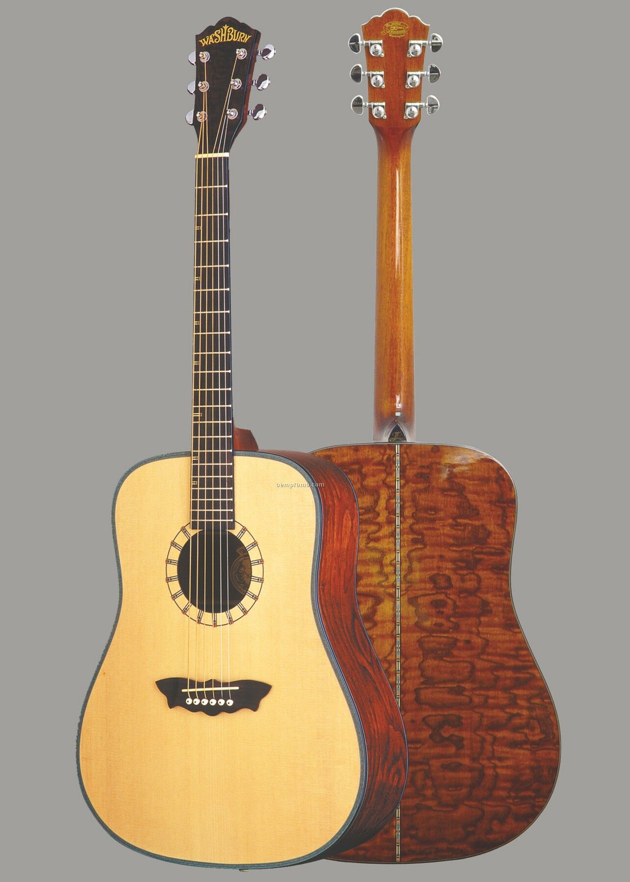 Washburn Southwestern Series Acoustic Guitar