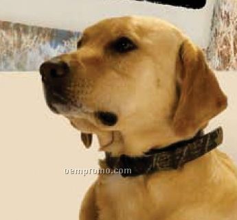Camo Leather Dog Collar
