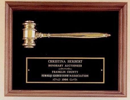 Parliament Series Plaque W/ Metal Gavel & Maroon Red Velour Background