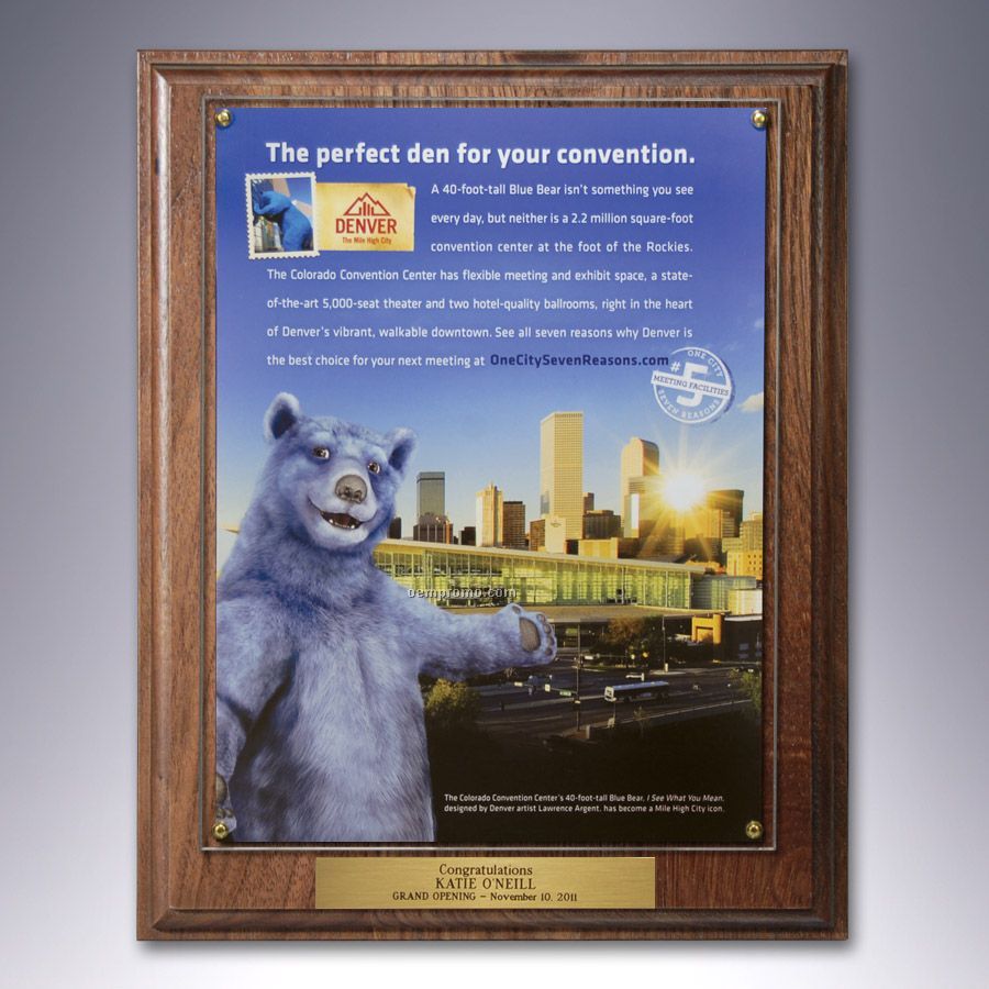 Certificate Frame / Overlay Plaque Kit W/ Plate And Your Choice Of Finish