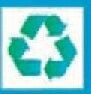 Environment Temporary Tattoo - Recycle Symbol 2 (2"X2")