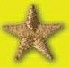 Suntex Stock Peel & Stick Embroidered Applique - Gold Star