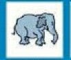 Animals Stock Temporary Tattoo - Elephant (1.5"X1.5")
