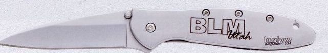 Kershaw Leek Pocket Knife (Silver)
