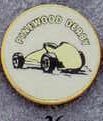 Medallions Stock Kromafusion Lapel Pin (Pinewood Derby)