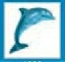Animals Stock Temporary Tattoo - Dolphin (1.5"X1.5")