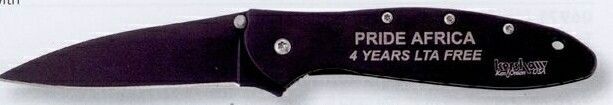 Kershaw Leek Pocket Knife (Black)
