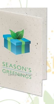 Seeded Paper Holiday Card - Season's Greenings (Gift Box)