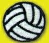 Suntex Stock Peel & Stick Embroidered Applique - Volleyball