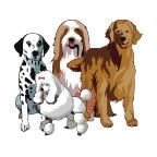 Animals Stock Temporary Tattoo - Group Of Dogs (1.5"X1.5")