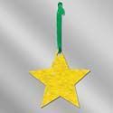Color Floral Seed Paper Ornament - Star (No Imprint)