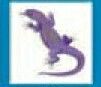 Animals Stock Temporary Tattoo - Purple Lizard (1.5
