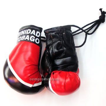Mini Car Boxing Gloves