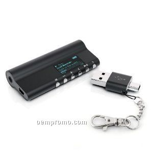 Mp3 Player With 2 Gb Flash Memory & USB Adapter