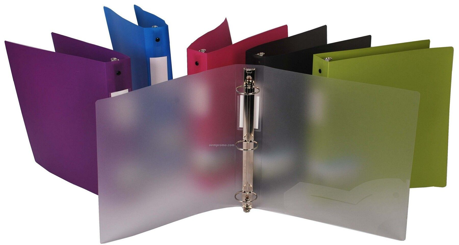 Assorted Pack Neon 1" Ring Binder