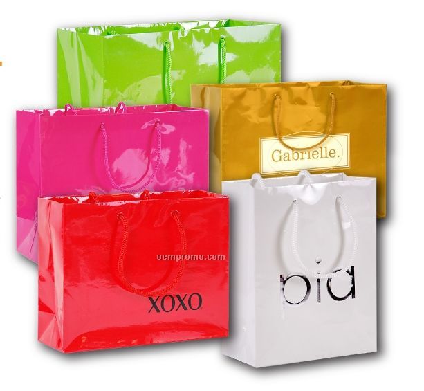 Hot Stamped Laminated Paper Euro Shopping Bag (8