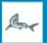Animals Stock Temporary Tattoo - Gray Shark (1.5"X1.5")