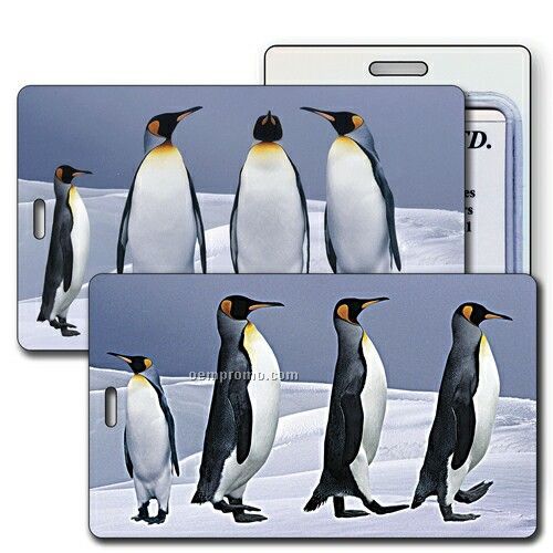 Luggage Tag 3d Lenticular Penguins Marching Stock Image (Imprint Product)