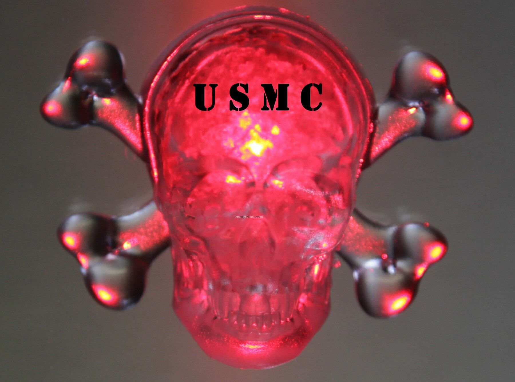 Crystal Skull With Logo