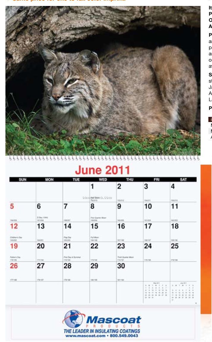 Wildlife Monthly Wall Calendar (Coil Bound)